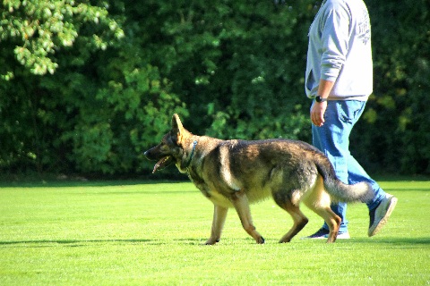 Hundewiese Eickhorst